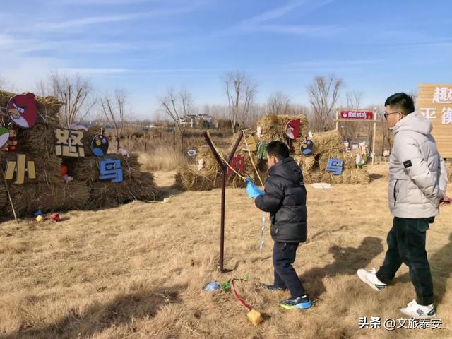 开年遛娃首选！东平湖流浪水世界暖冬亲子奇遇季，全家欢乐新去处！