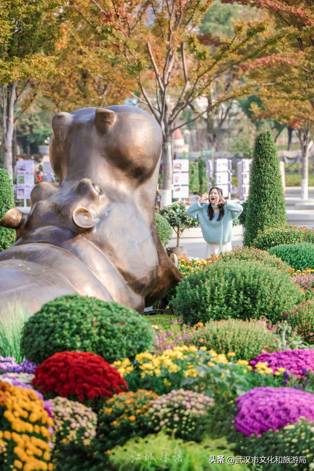 武汉今秋最大花展，限时一个月，免费！
