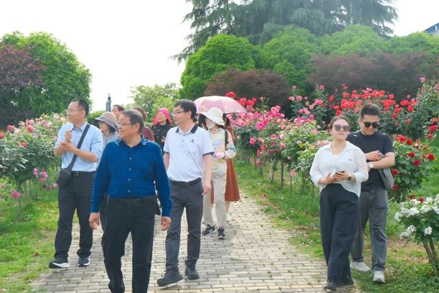 喜迎五一小高峰 | 洈水景区美景如画，人气满满！