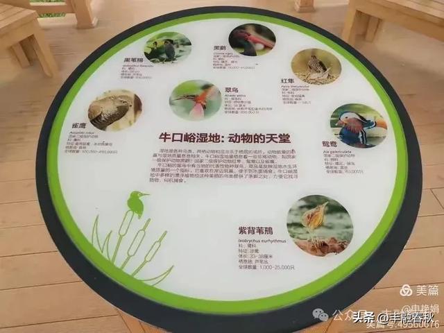 邂逅北京房山牛口峪湿地公园：工业废水的生态蝶变｜ 申艳娟