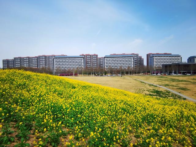 我是山东人，在宁德屏南待了几天，想说说游玩屏南的4点真实感受