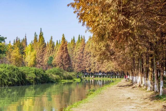 地铁公交直达！成都严重被低估的6个氛围感公园！