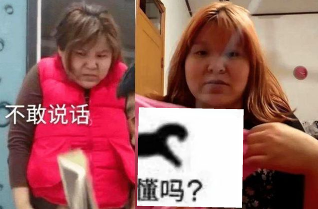装疯卖傻、丑态百出、目不识丁，到底是谁捧红了这些跳梁小丑？