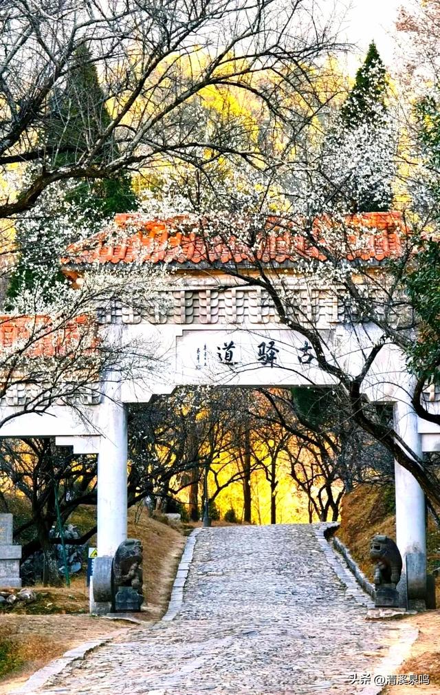 千年风雨中的文明通途——梅关古道