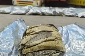 深圳湾海关查获157公斤藏在驾驶室的牛百叶图片