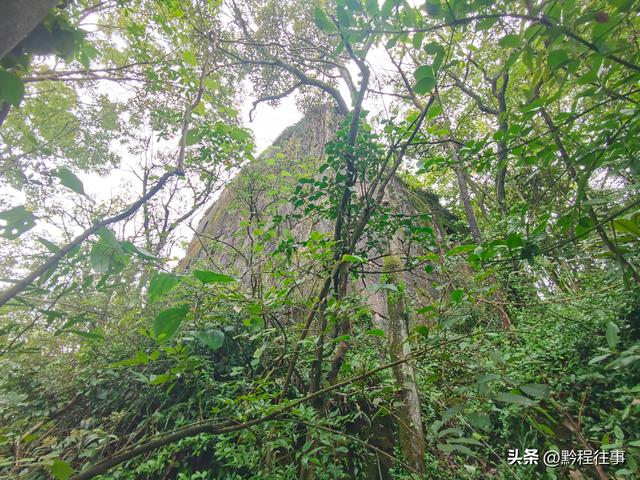 探寻龙眼山古寺遗址，一次最为艰难的野外探险之旅