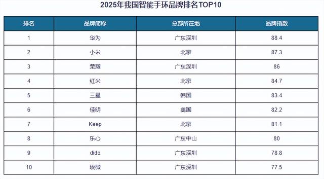 中国智能手环行业发展深度分析与投资前景报告（2025-2032年）