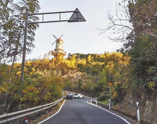 快来打卡吧！宁波8条农村精品路出炉