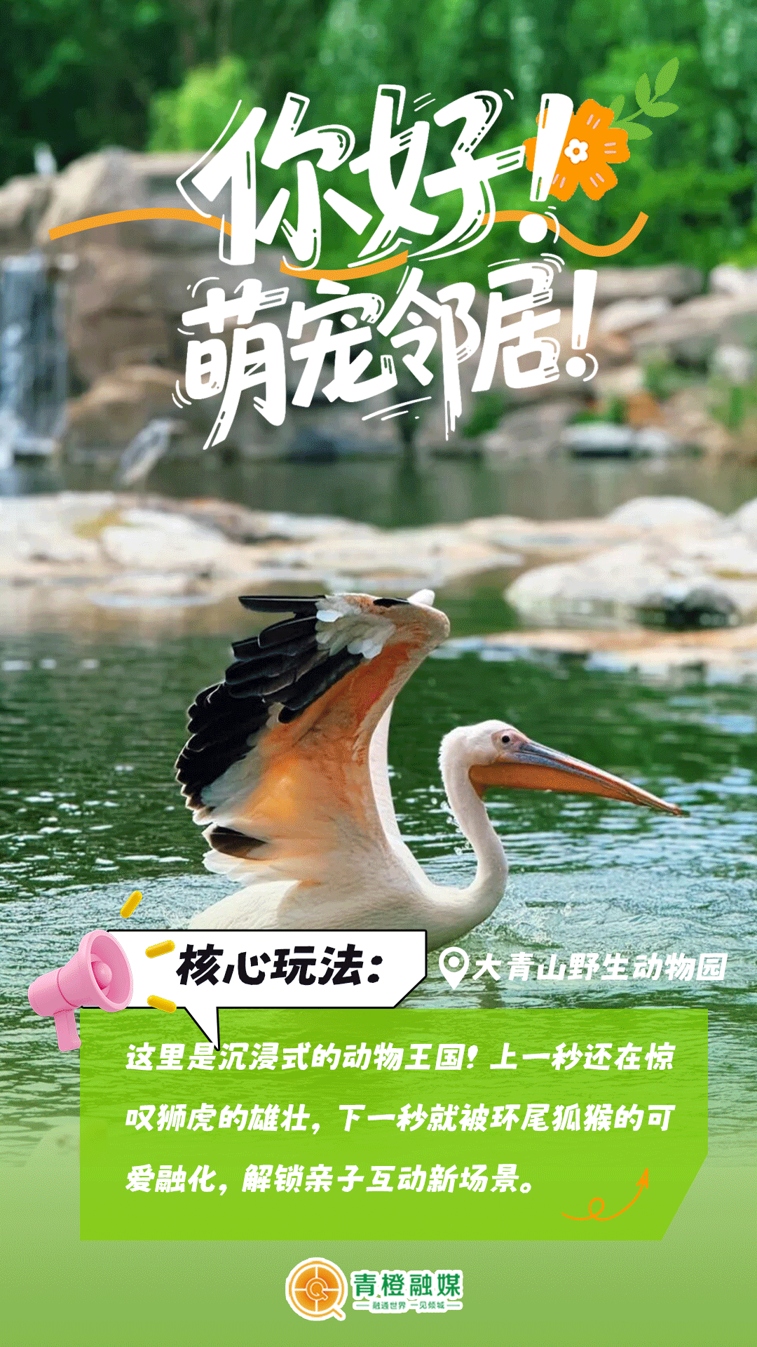 假期遛娃？呼和浩特这几个地方妥妥拿捏！