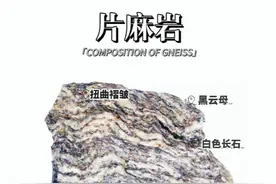 每天认识一种石头：片麻岩，常见观赏石图片