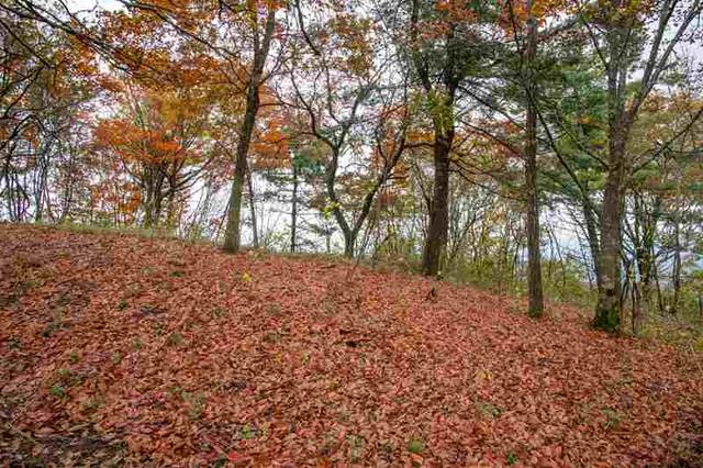 四川通江：黄柏林场红叶满坡红