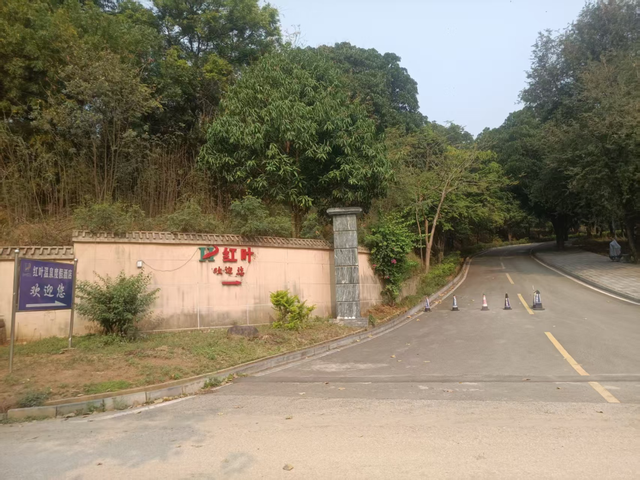 来元阳过泼水节，快收好这份『停车』指南！