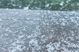 11级大风！浙江这里已下雪！多地网友冻懵：寒潮太猛图片