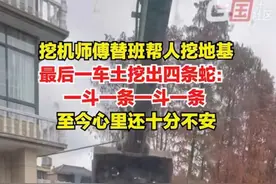 师傅挖地基连续挖出四条蛇，冲上热搜！网友：车不要了，赶紧跑！图片