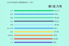 最新电动车口碑榜来了！这十个品牌最受好评，雅迪、爱玛不是第一图片