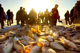 一条鱼卖出2966666元，一网拖出50万斤，查干湖的鱼为这么多？图片