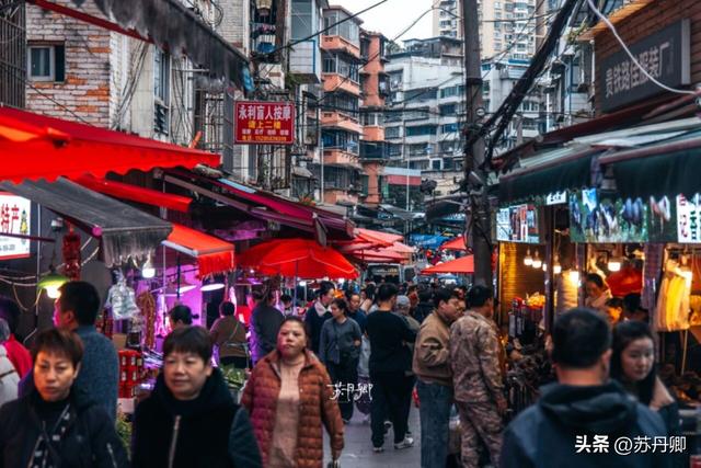 为了一只猴子！我从武汉跑去了贵阳！黔灵山的魅力不止是有猴子