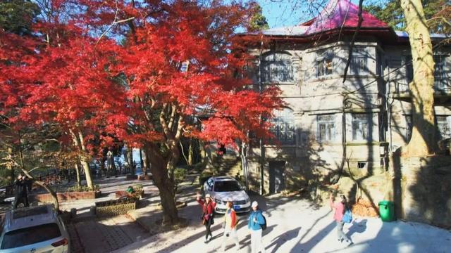 庐山景区开启2025年金秋赏枫季