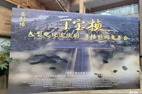 电视剧《丁宝桢》明天央视八套首播！演绎贵州历史名人的热血人生图片