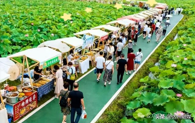 国庆中秋去哪玩？金山景区超全活动指南来了！