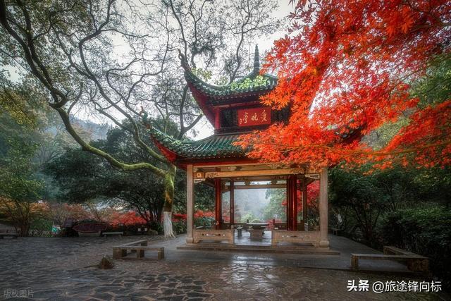 12月旅行别跟风，南方藏着晚秋绝景，北方不止追雪还有奇遇