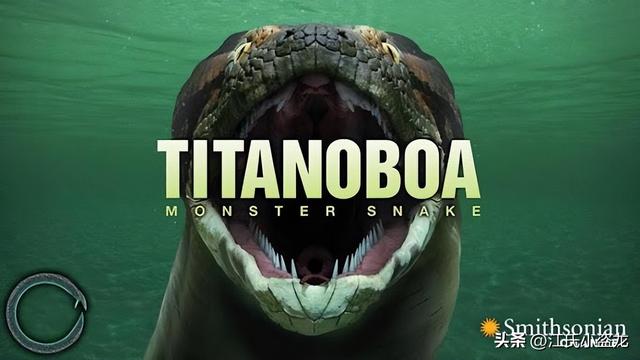 狂蟒之灾：地球生命史上的五大巨蛇全盘点！