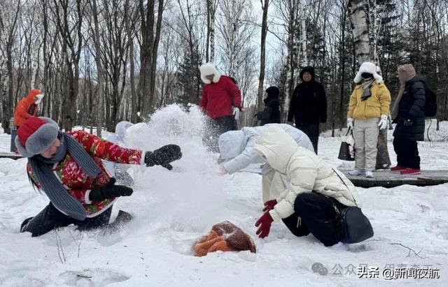 【引客入伊】铁力：冰雪正盛“超长雪期” 新春时节游人如织