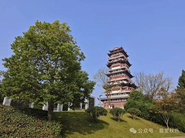 为了一碗羊肉汤，去了简阳