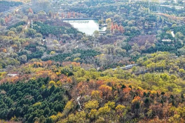 发现丰台之美 | 秋末冬初 落叶静美🧡