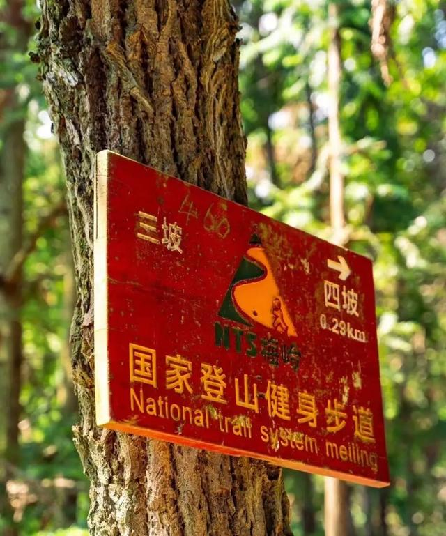 激活绿水青山 唱响户外“欢歌”——看湾里如何通过“户外+”释放消费新热点