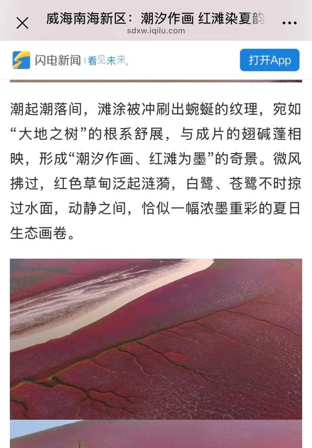 央视四平台连播！ 红滩盛夏铺锦绣 生态南海引客来