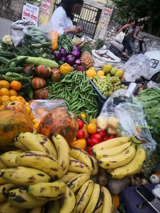 6年前，我在印度，询问当地人为什么苍蝇当道，他们的回答很费解