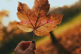 22句抖音很火的句子|在泥泞的道路上，要保持一颗玩泥巴的心。图片