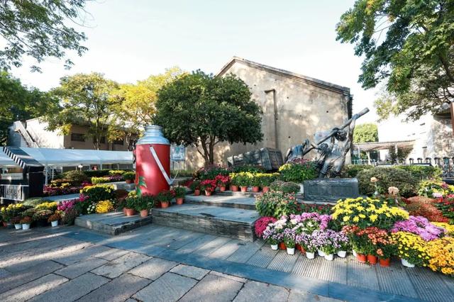 230种“秋韵”上线！拱墅这片花海藏不住了