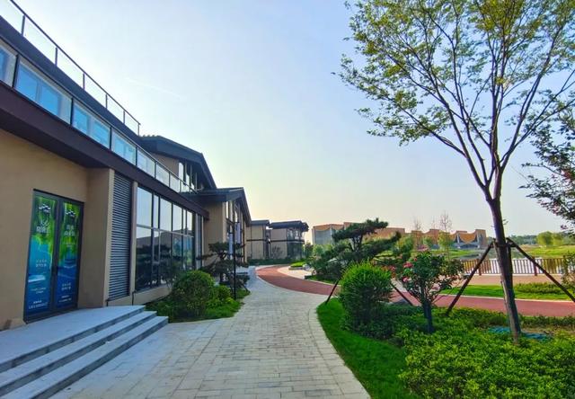 洛阳打卡地又“上新”！洛龙、老城...