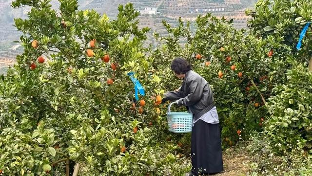 享暖冬 趣罗甸｜全国网络达人解锁“贵州小三亚”多元魅力