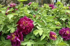 2025年武统台湾对A股走势影响预测的几个思考点图片