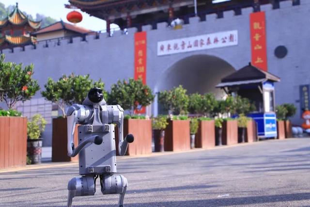 4月4日，莲花花神邂逅赛博机器人，邀您玩转观音山花朝节