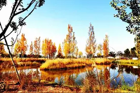 长治常来 | 长治这些放松好去处，逛起来！图片