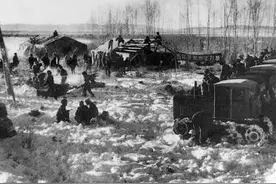 70年代在北大荒屯垦，熊瞎子钻进了牲口棚，十多人拎着枪漫山撵图片