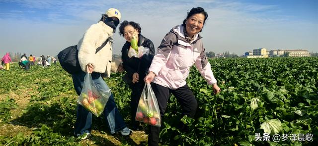 周末新玩法：云梦博物馆看秦简，新马村拔萝卜，武汉家庭乐翻天