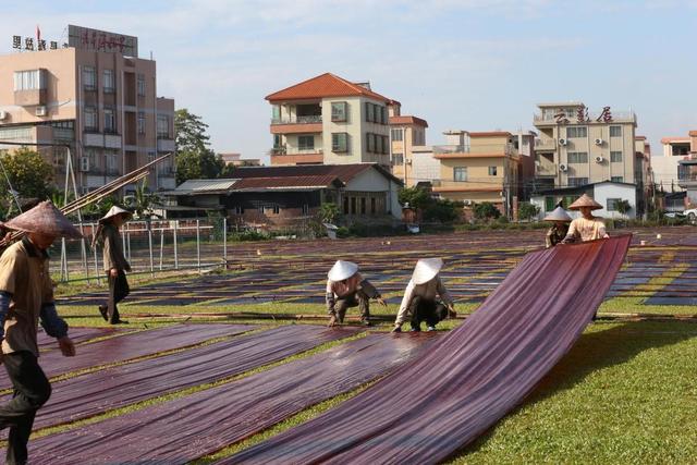 南沙，向世界绽放：一场传统与现代交织的未来之旅