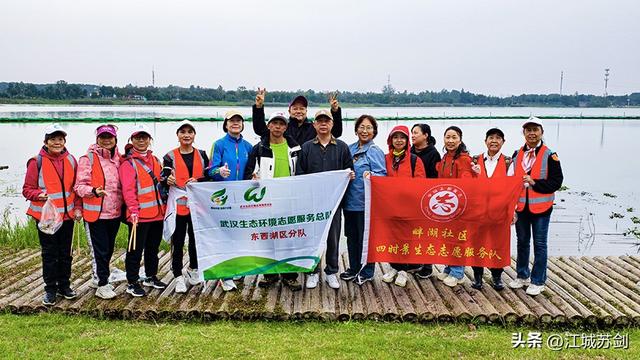 徒步为笔，湿地为卷！武汉亲子共绘“环保+健康”绿色图景