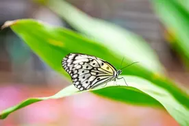 郑州市免费爬山景区推荐（2025年4月更新）图片