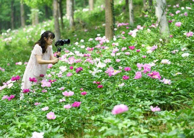 合肥4月花讯请查收！快进来交换春天→