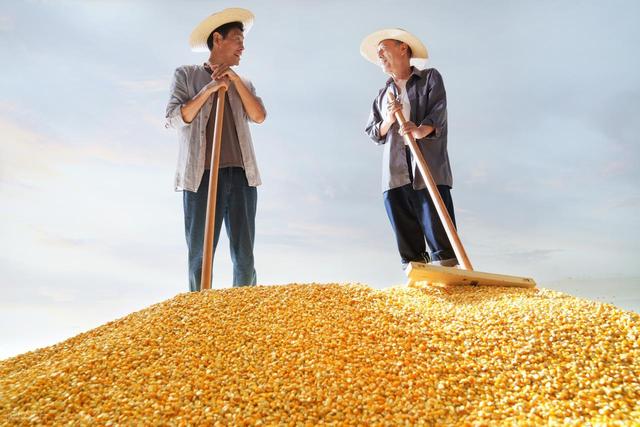 820亿斤，再造一个东北！为何说内蒙古是中美粮食战争的一张王牌