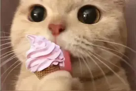 医生眼中的雪糕真相！有的竟是“热量炸弹”！吃1根=2.5碗米饭！夏天减肥的旁友注意啦~图片