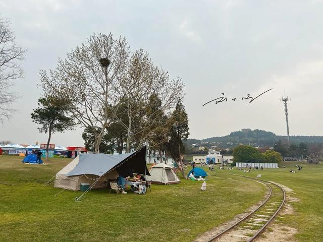 华中唯一“草原主题”5A景区，就在武汉，游客误以为穿越到内蒙？