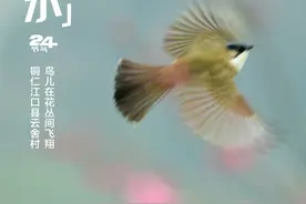 24节气看贵州｜今日雨水：润物细无声，春意渐浓时图片