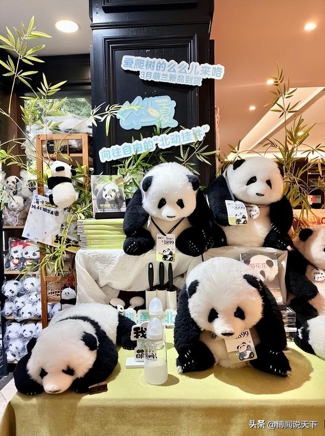 没有回旋余地，中国下令直接收回，17万日本人泪奔，高市闯祸了！